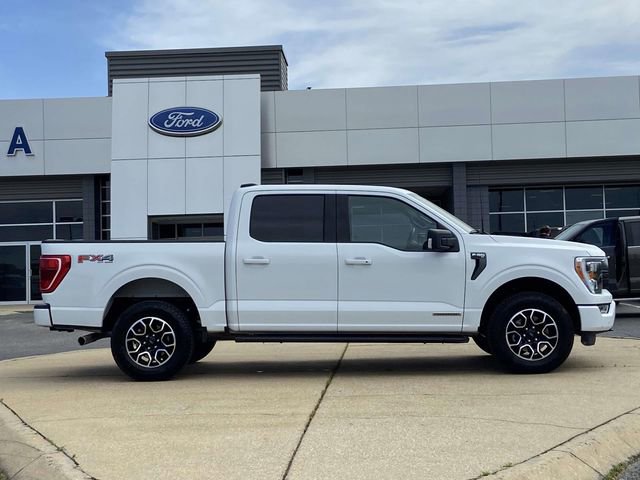Used 2023 Ford F150 XLT w/ Equipment Group 302A High AWD/4WD image 2