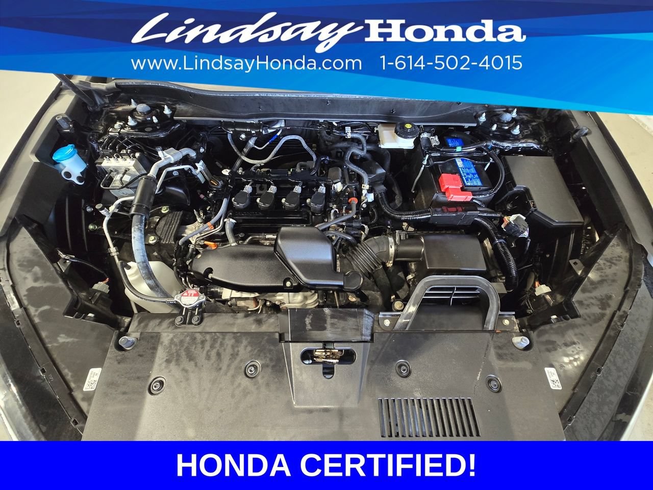 Certified 2025 Honda CR-V EX-L image 25