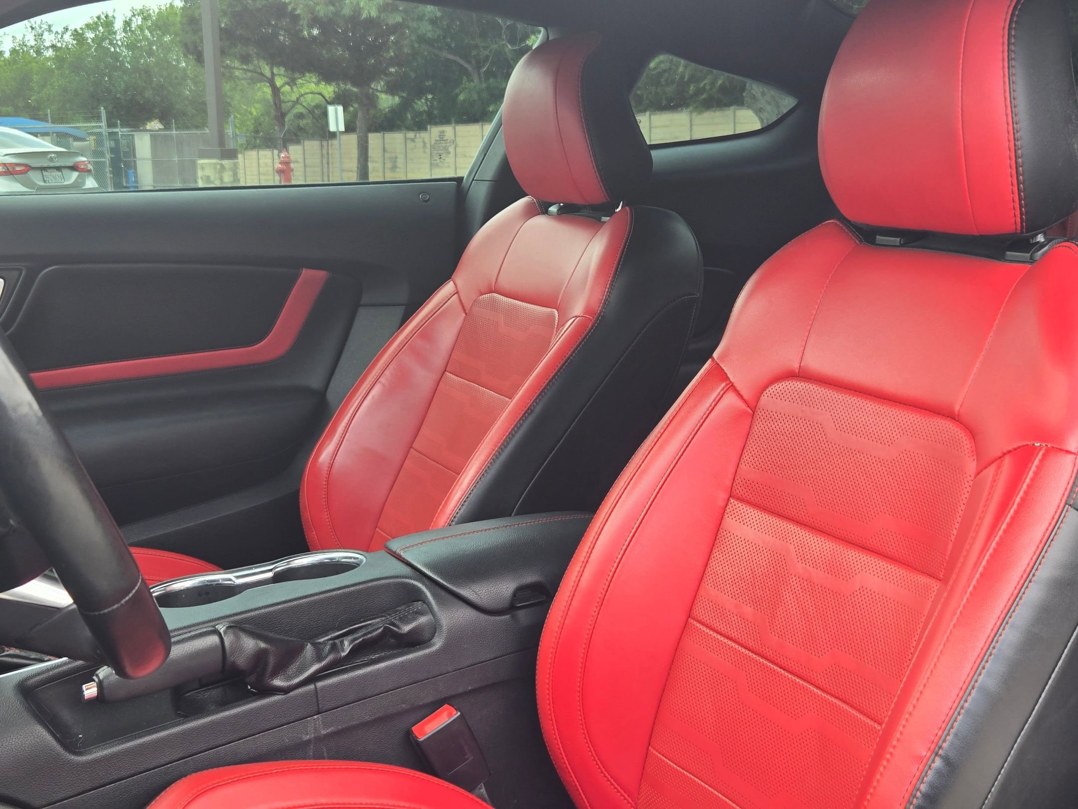 Used 2019 Ford Mustang Premium w/ Equipment Group 201A RWD image 12