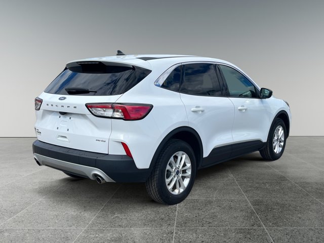 Used 2022 Ford Escape SE AWD/4WD image 5