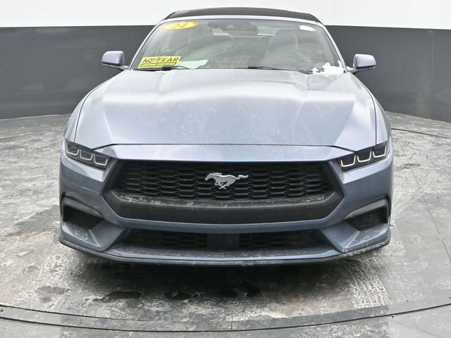 Used 2024 Ford Mustang Premium image 6