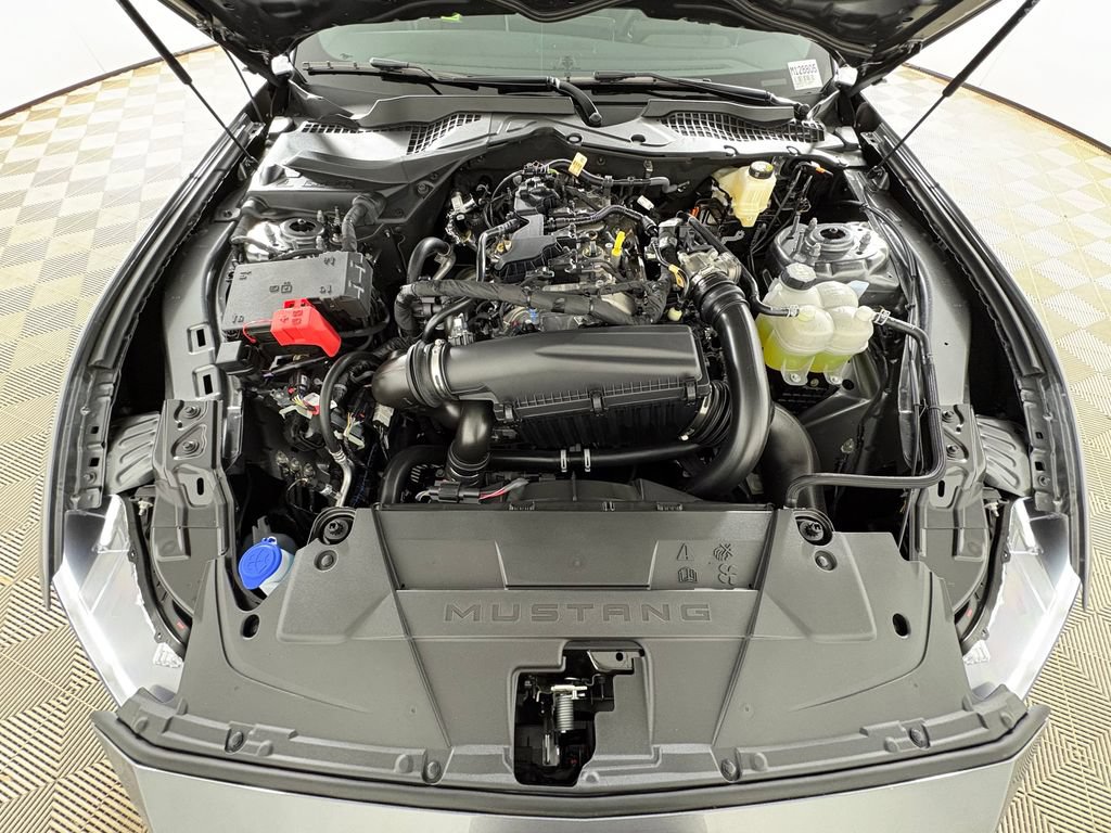 New 2026 Ford Mustang Premium w/ Mustang Nite Pony Package RWD image 31
