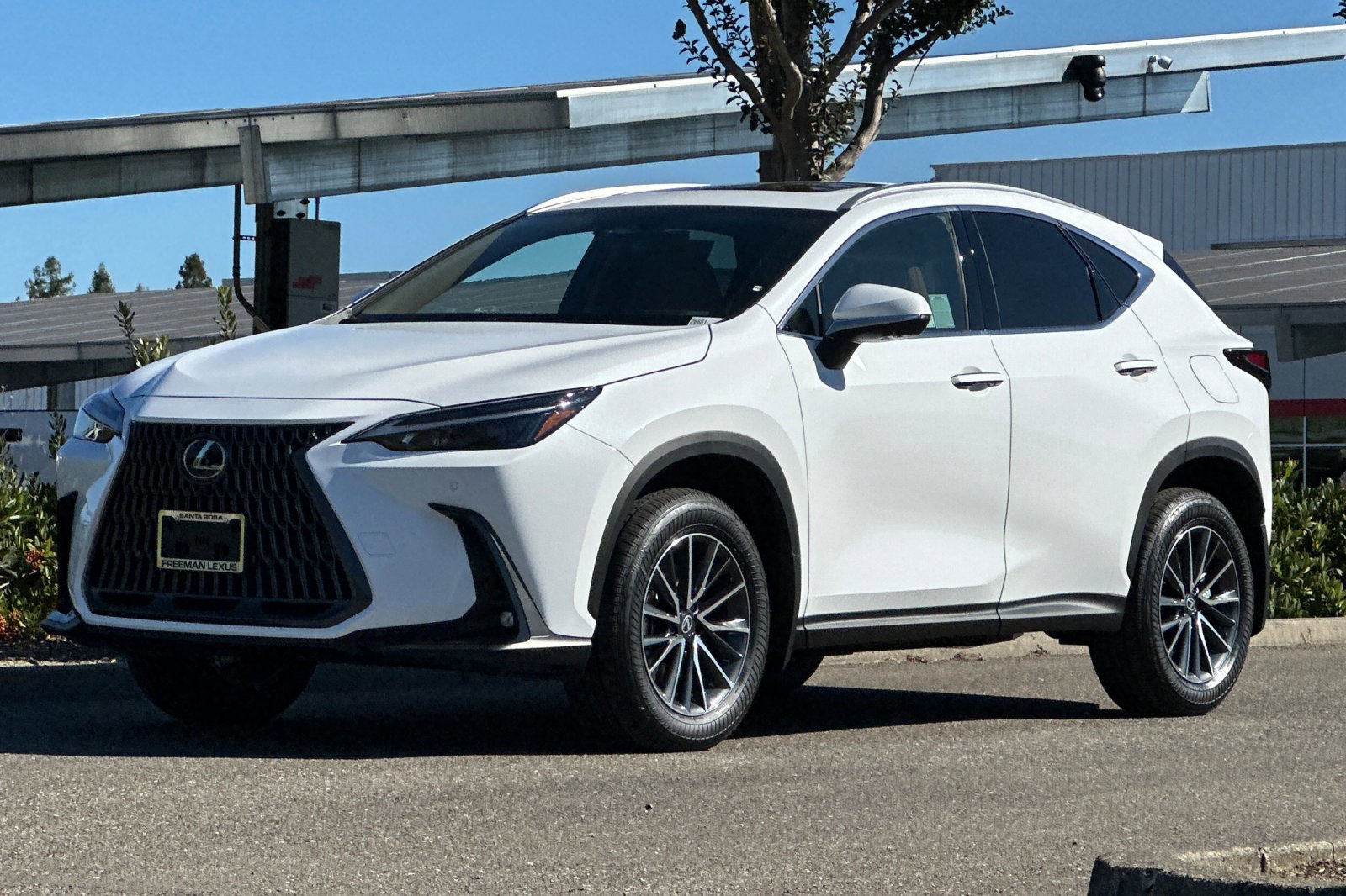 New 2026 Lexus NX 350h AWD w/ Premium Package image 8