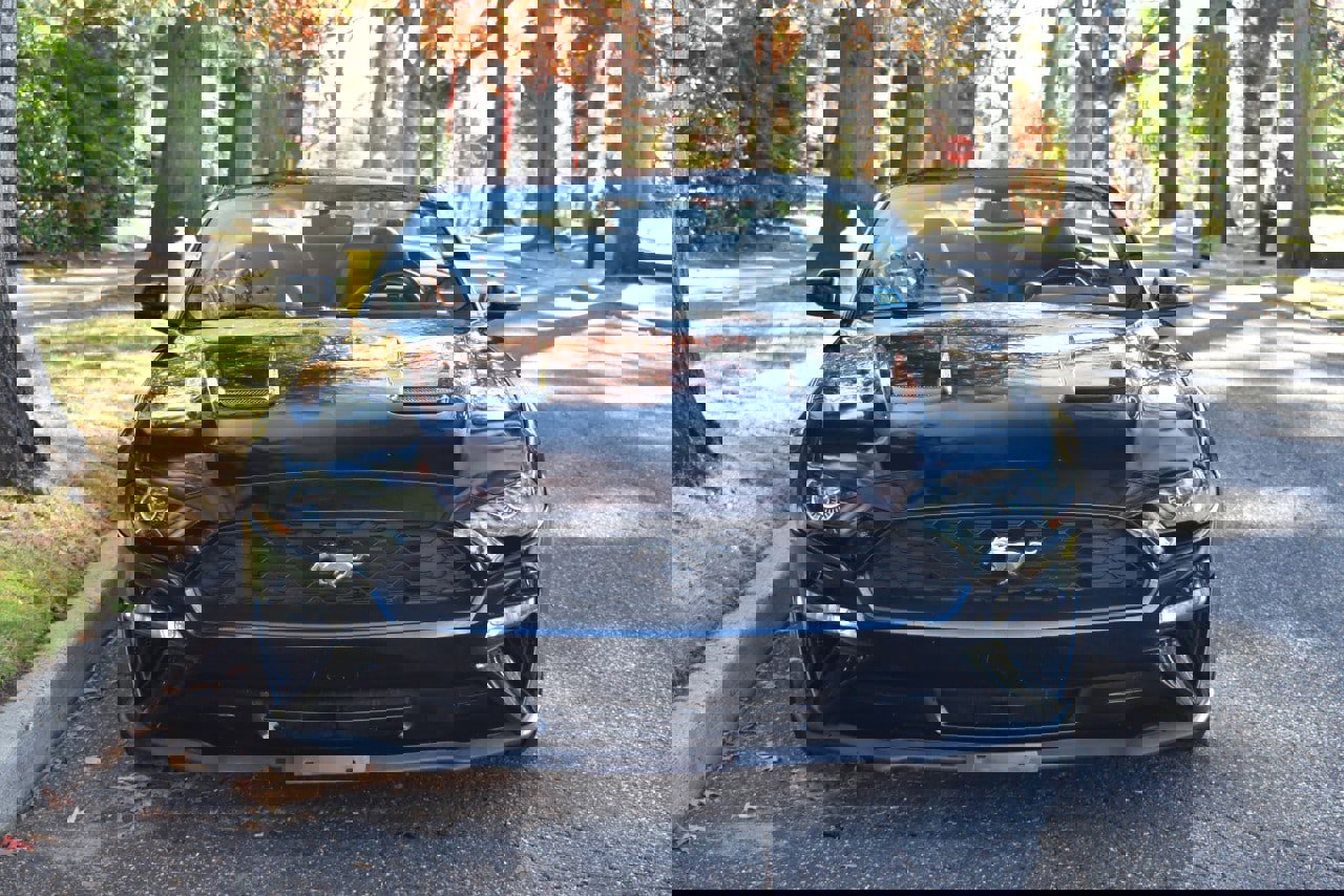 Used 2019 Ford Mustang Premium image 13