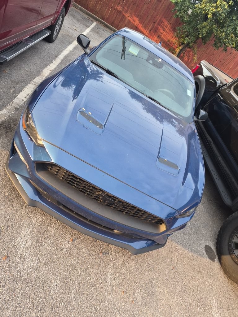 Used 2023 Ford Mustang Premium w/ Equipment Group 201A RWD image 22