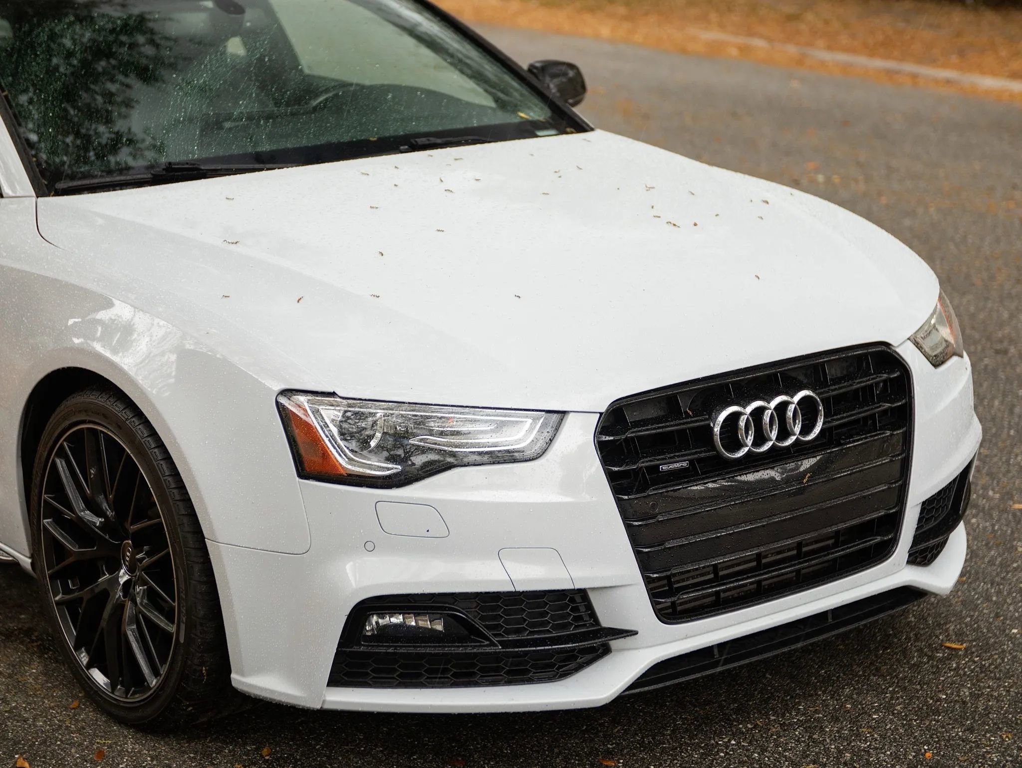 Used 2017 Audi A5 2.0T Sport w/ Technology Package image 2