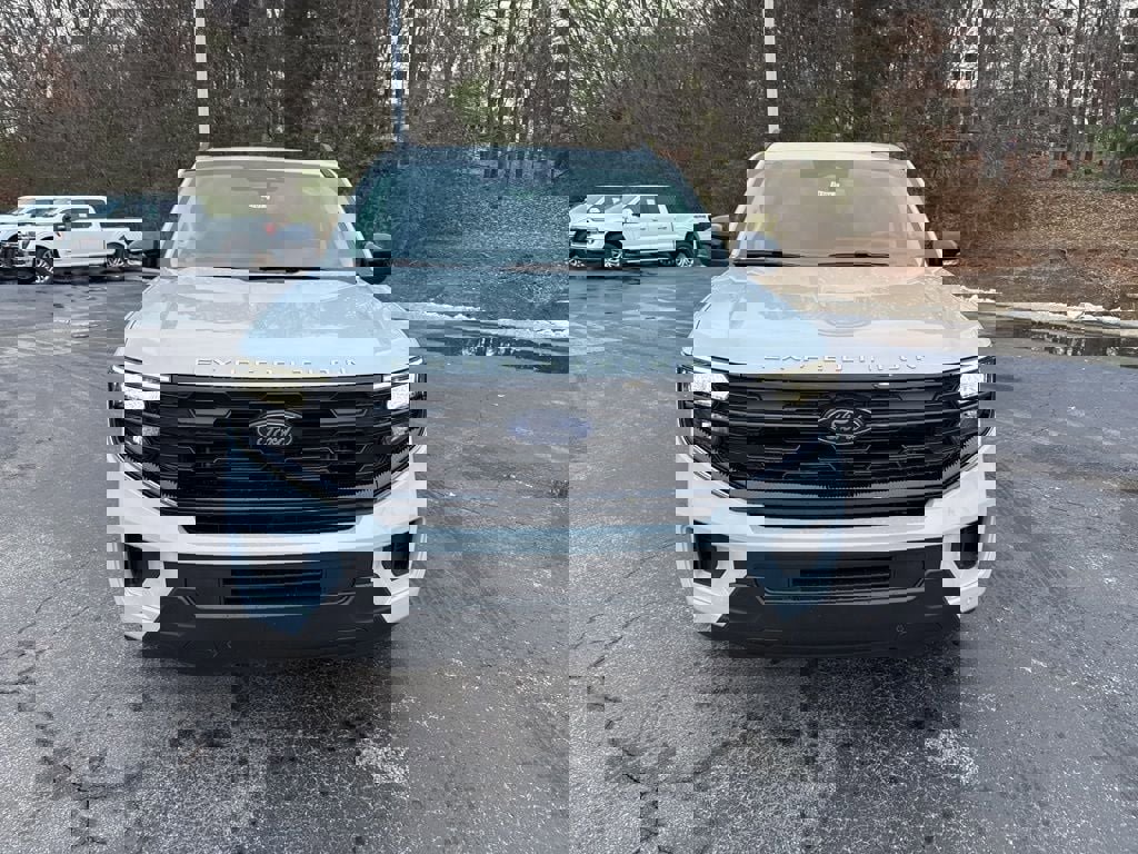 New 2025 Ford Expedition Active image 15