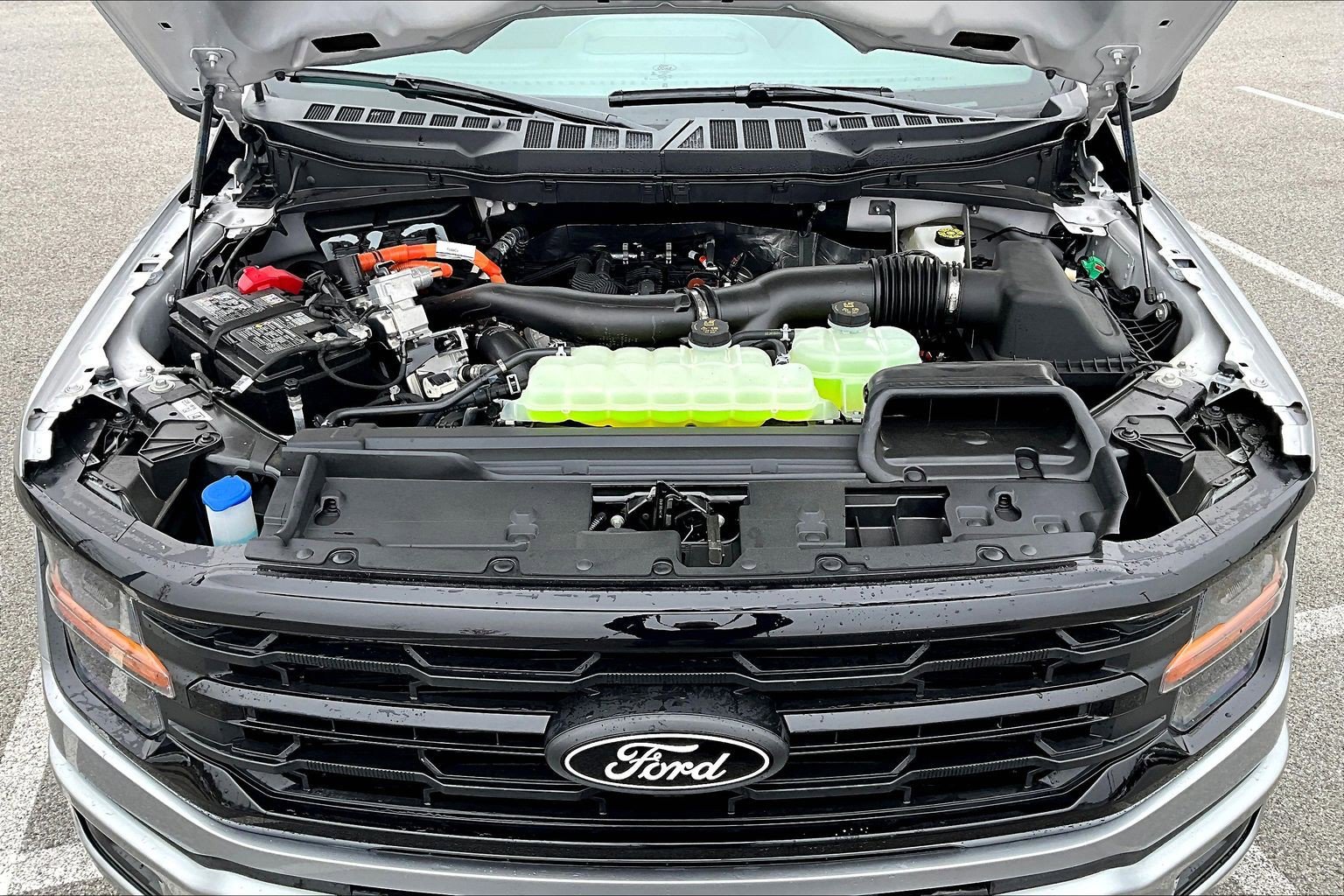 New 2026 Ford F150 XLT w/ FX4 Off-Road Package AWD/4WD image 11