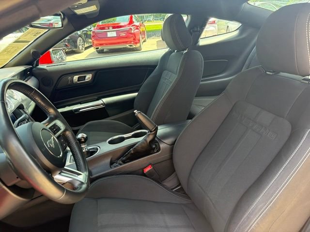 Used 2019 Ford Mustang GT w/ Equipment Group 301A RWD image 13