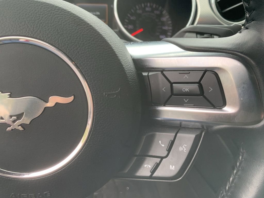 Used 2019 Ford Mustang GT image 14