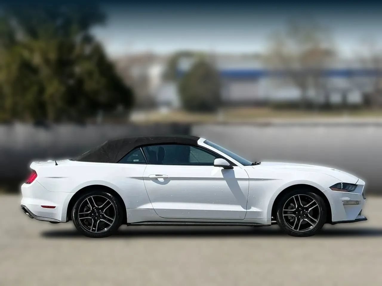 Used 2023 Ford Mustang Premium RWD image 7