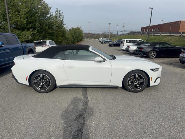 Used 2024 Ford Mustang Premium image 5