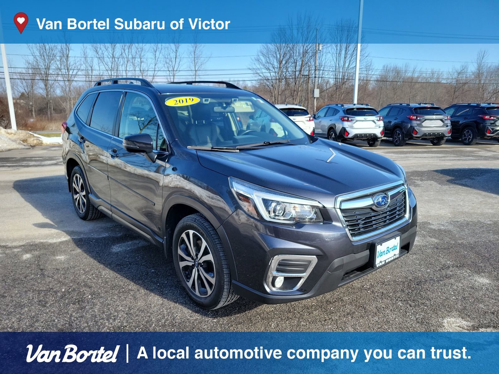 Used 2019 Subaru Forester Limited image 7