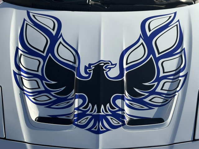 Used 1995 Pontiac Firebird Trans Am image 12