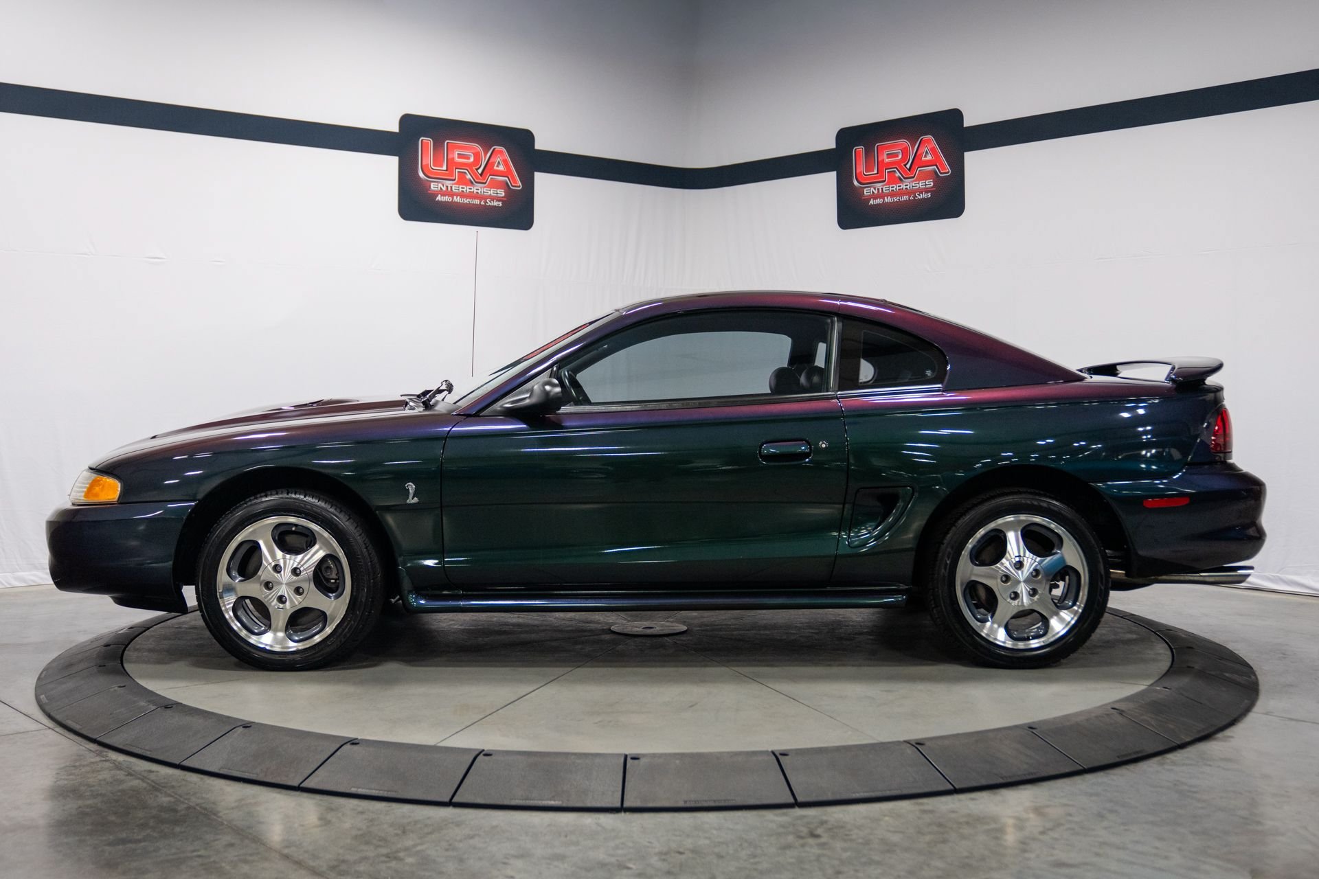 Used 1996 Ford Mustang Cobra RWD image 5