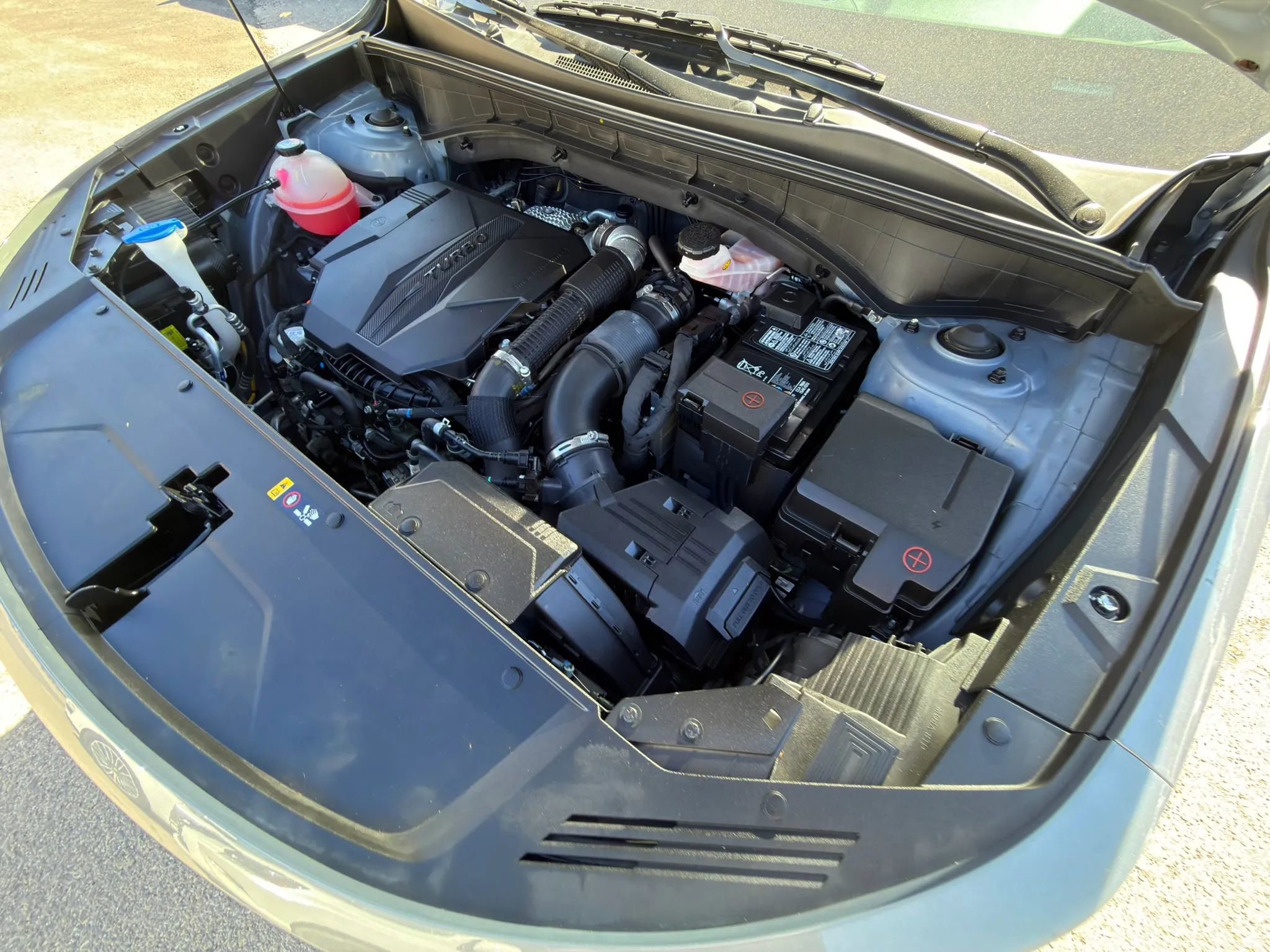 Used 2023 Kia Sorento X-Line EX image 5