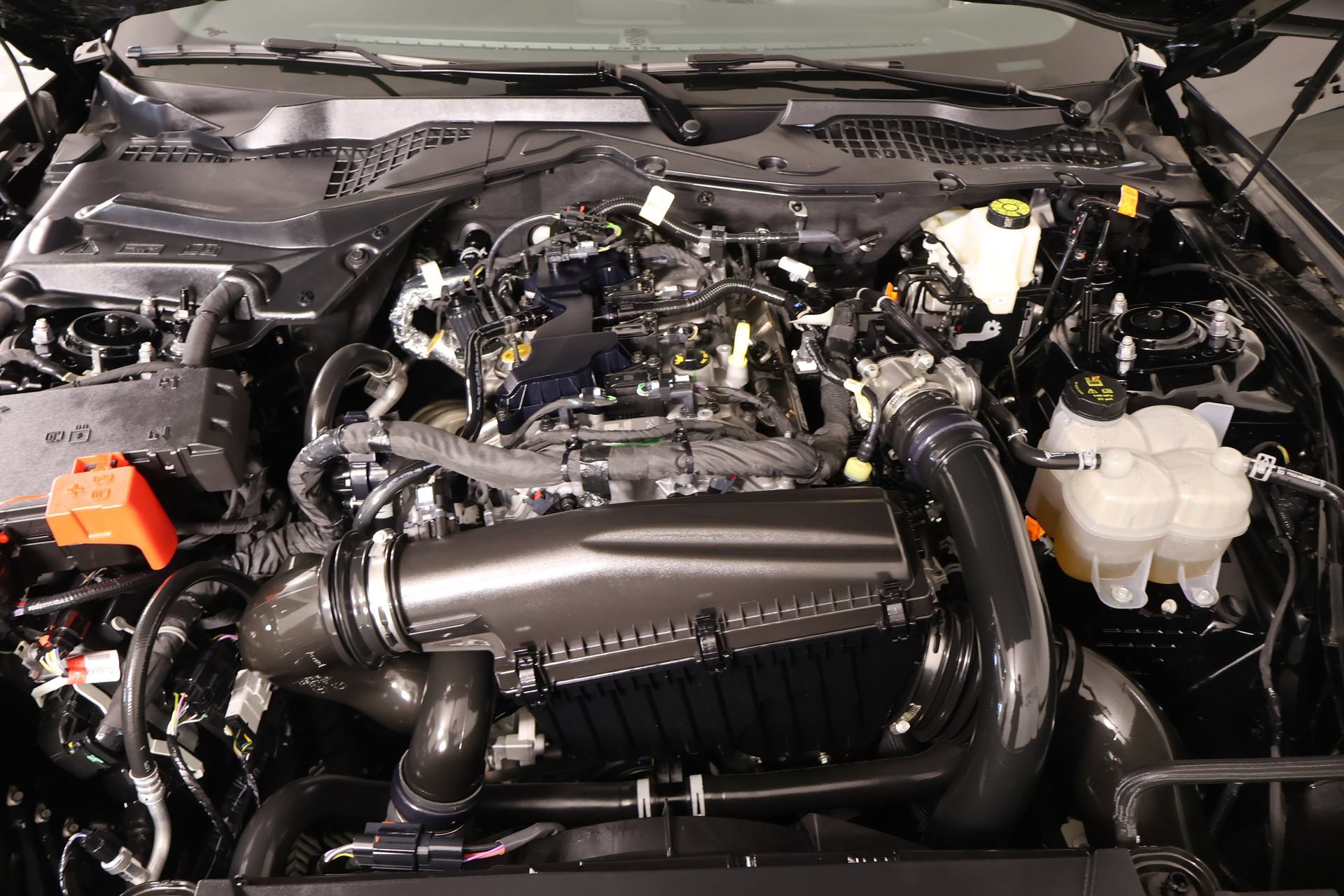 Used 2025 Ford Mustang Coupe RWD image 18
