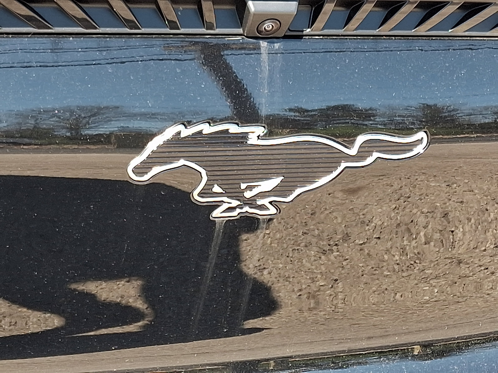 Used 2025 Ford Mustang Mach-E Select w/ Comfort Package Lite image 31