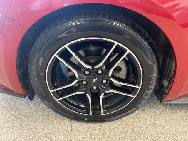 Used 2021 Ford Mustang Premium w/ Equipment Group 201A image 11