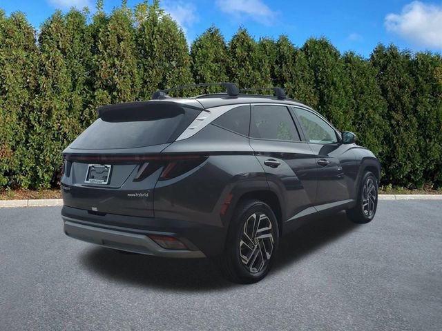 Certified 2025 Hyundai Tucson Limited image 4