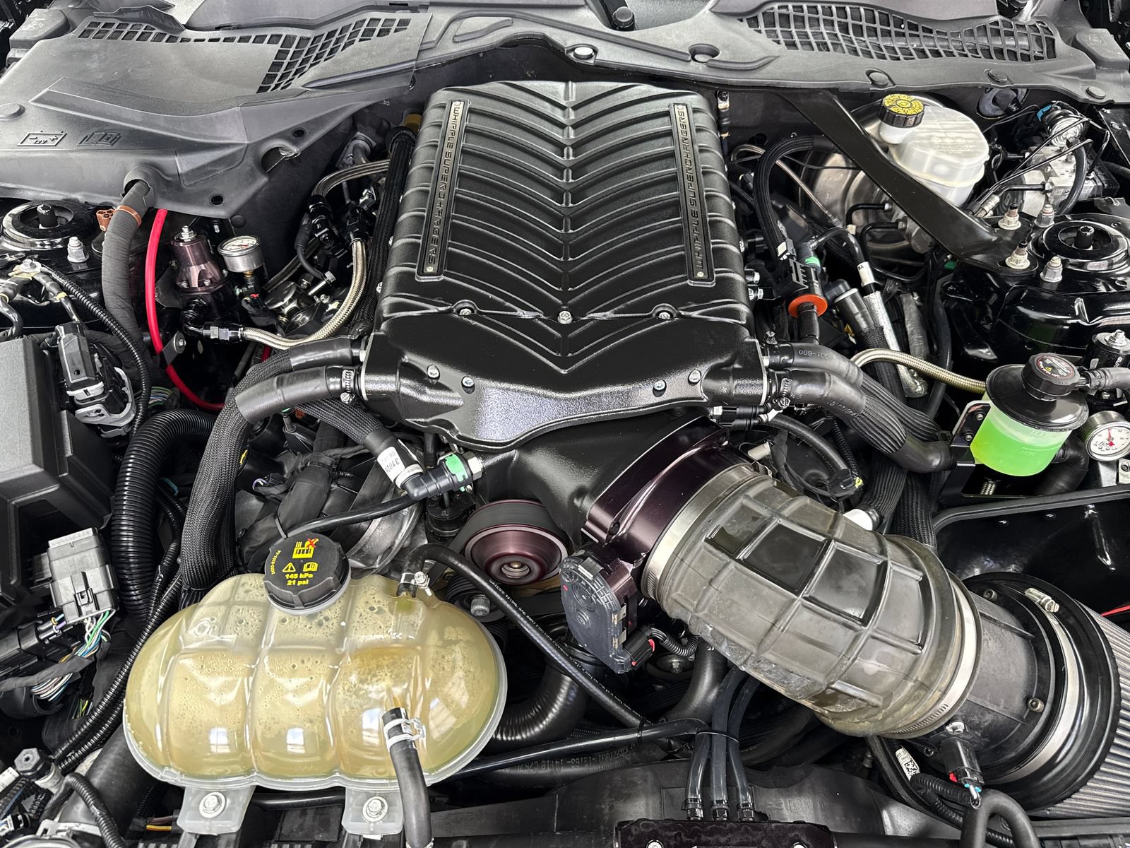 Used 2021 Ford Mustang GT Premium w/ GT Performance Package RWD image 49