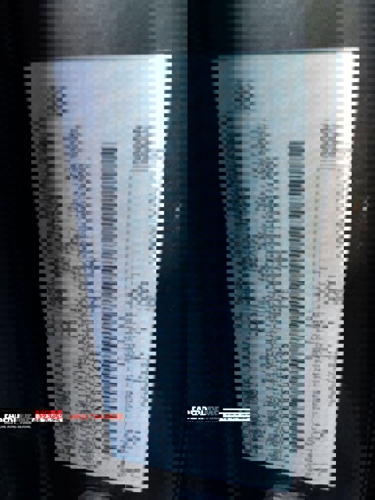 Used 2025 Ford Escape ST-Line image 29