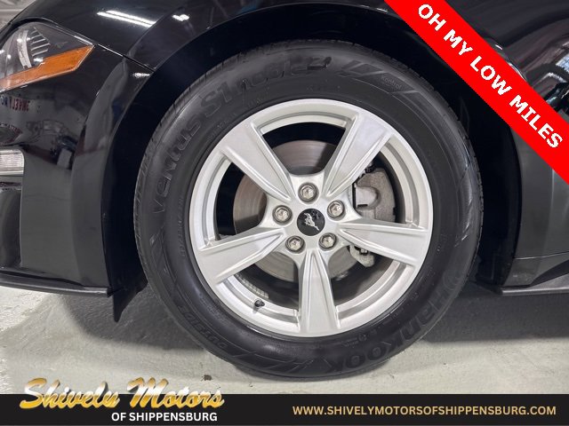 Used 2022 Ford Mustang EcoBoost image 9