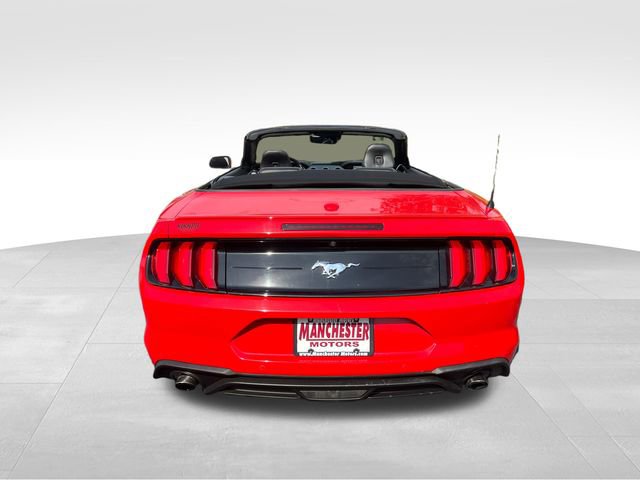 Used 2023 Ford Mustang Premium image 14