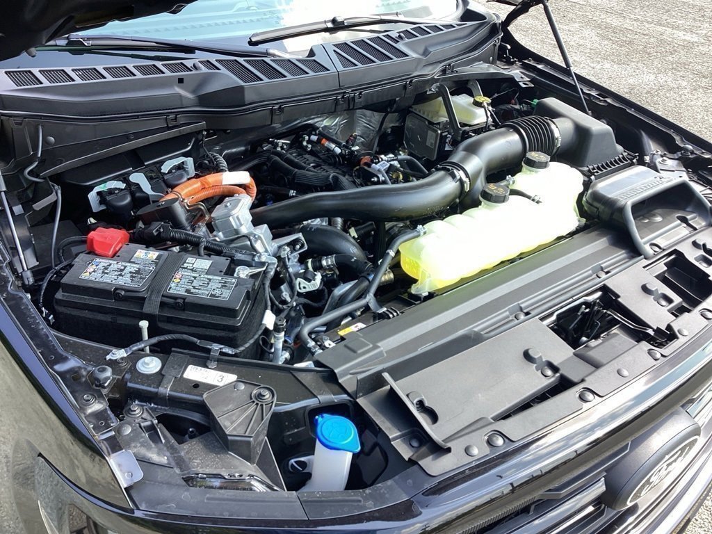 New 2025 Ford F150 XLT w/ Equipment Group 301A Standard image 17