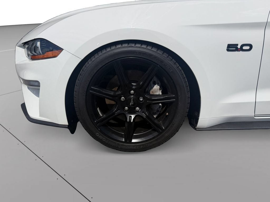 Used 2019 Ford Mustang GT w/ Equipment Group 301A RWD image 9