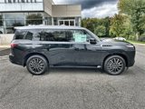 New 2025 INFINITI QX80 Autograph w/ Autograph Exterior Package image 4
