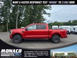 Certified 2023 Ford F150 XLT w/ Equipment Group 302A High image 5