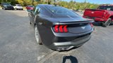 New 2024 Ford Mustang Premium image 4