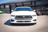 Used 2024 Ford Mustang Coupe image 3