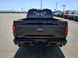 New 2025 Ford F150 XLT w/ Equipment Group 302A MID image 6