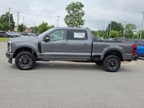 New 2025 Ford F250 Platinum image 3