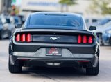 Used 2017 Ford Mustang Coupe image 5
