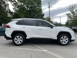 Used 2019 Toyota RAV4 LE image 4