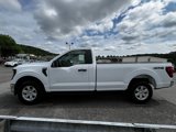 New 2025 Ford F150 XL w/ Equipment Group 103A High image 6