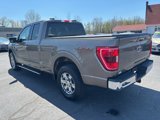 Used 2021 Ford F150 XLT w/ Equipment Group 302A High image 5