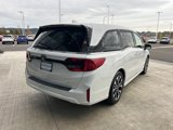 New 2025 Honda Odyssey Elite image 5