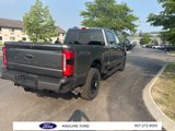 New 2025 Ford F250 4x4 Crew Cab Super Duty image 5