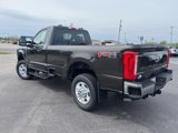 New 2025 Ford F250 4x4 Regular Cab Super Duty image 5