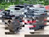 Used 2024 Hyundai Santa Fe Calligraphy image 5