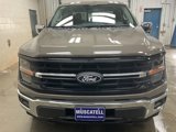 New 2025 Ford F150 XLT w/ Equipment Group 303A High image 2