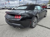 New 2025 Ford Mustang GT Premium image 3