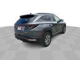 Used 2023 Hyundai Tucson Blue image 6