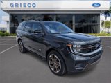 New 2025 Ford Expedition King Ranch image 2