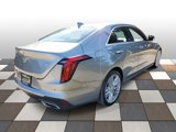 Used 2023 Cadillac CT4 Premium Luxury w/ Climate Package image 4