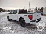 New 2025 Ford F150 XLT w/ Equipment Group 302A MID image 3